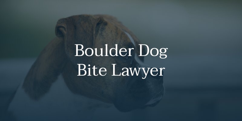 Boulder Dog Bite Lawyer