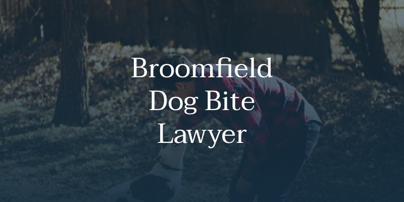 Broomfield Dog Bite Lawyer